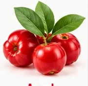 Acerola ingredient illustration